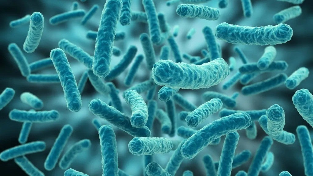 5 pasos esenciales para una biorremediación de suelos exitosa