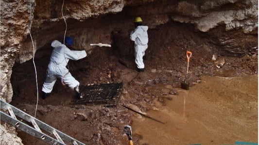 Caracterización de Sitios Contaminados: Cómo reducir el Costo Total de Propiedad (TCO) en proyectos ambientales desde el diagnóstico