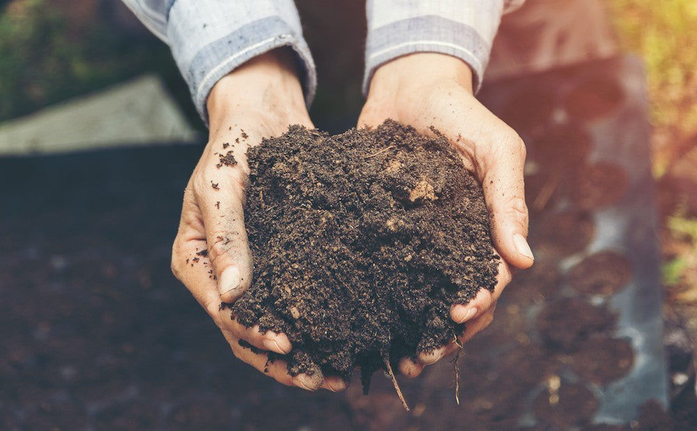 Contaminación por Plaguicidas: remediación de suelos y acuíferos.