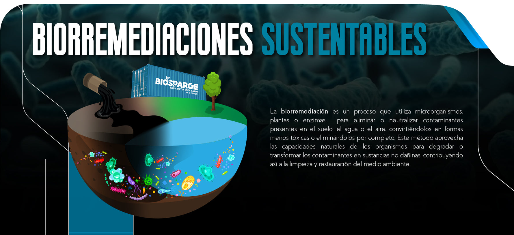 Remediación de suelos y acuiferos - Biorremediación In situ - Biorreme ...